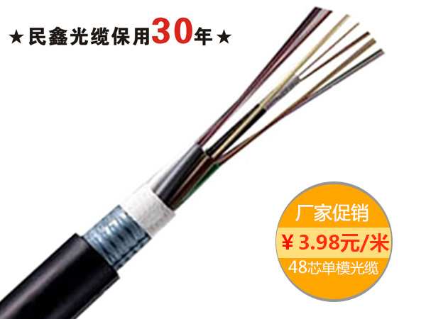 48芯室外單模光纜，GYTA/GYTS-48B1.3 G652D纖芯